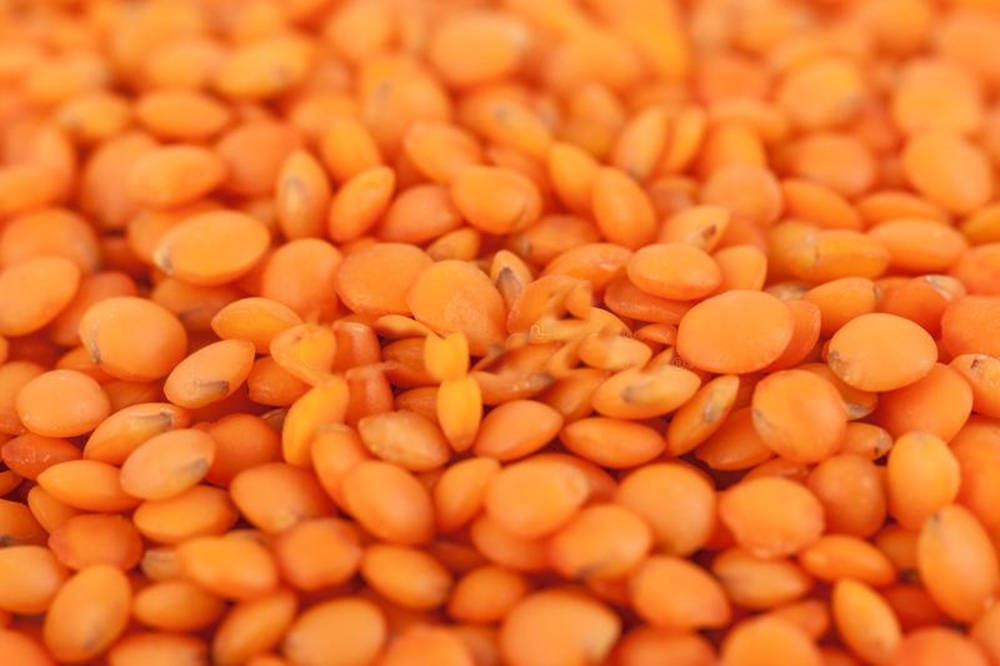 Precise Close-Up of Vibrant Orange Lentils Wallpaper