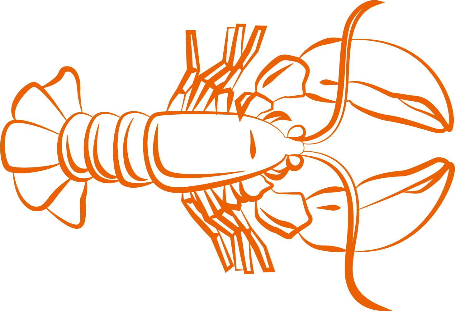 Orange Lobster Illustration PNG