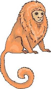 Orange Monkey Illustration PNG
