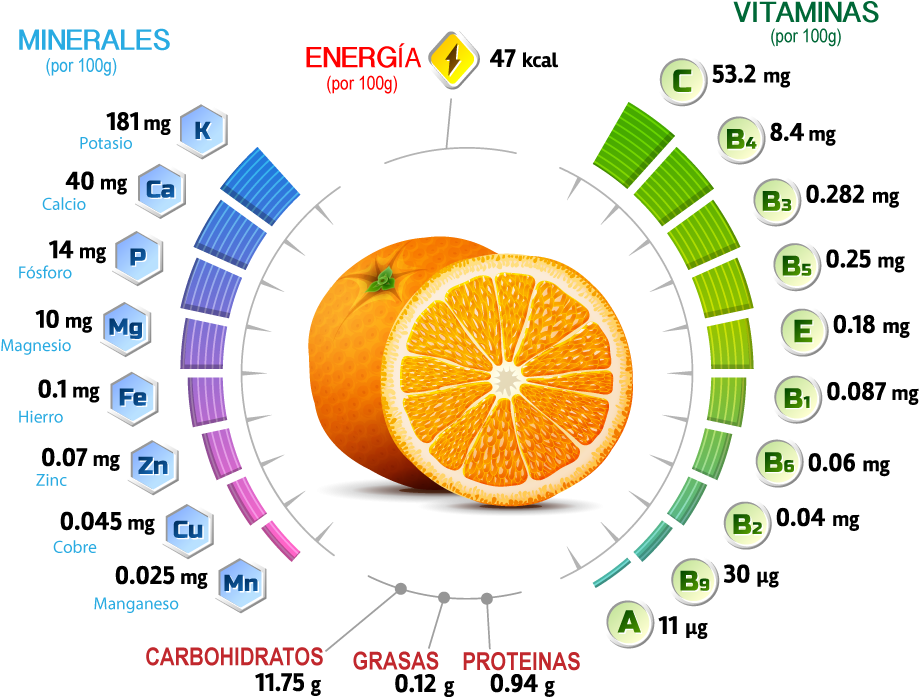 Orange Nutritional Information Graphic PNG