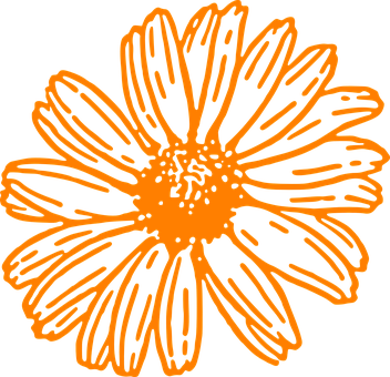 Orange Outlined Flower Illustration PNG