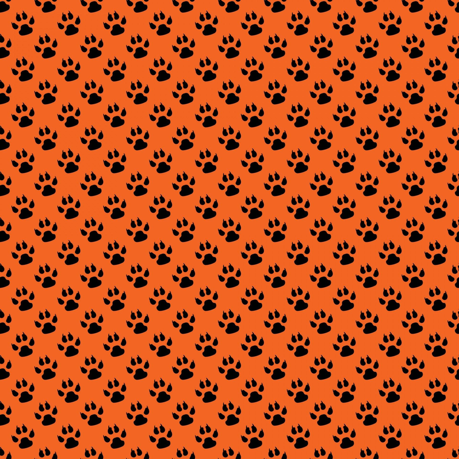Orange Paw Print Patterns Wallpaper