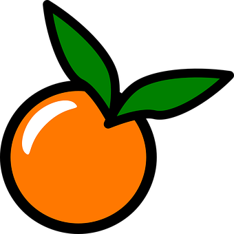 Orange Peach Vector Art PNG