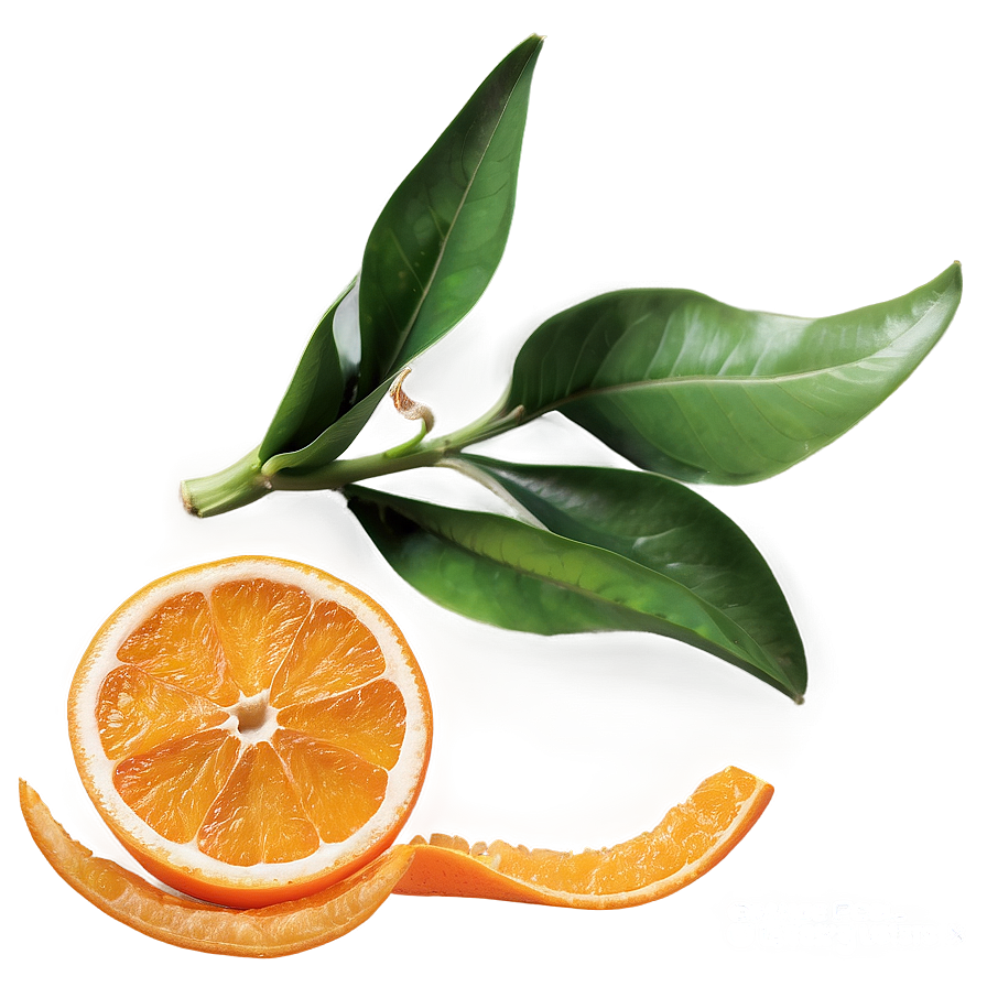 Orange Peel Twist Png Ckc PNG