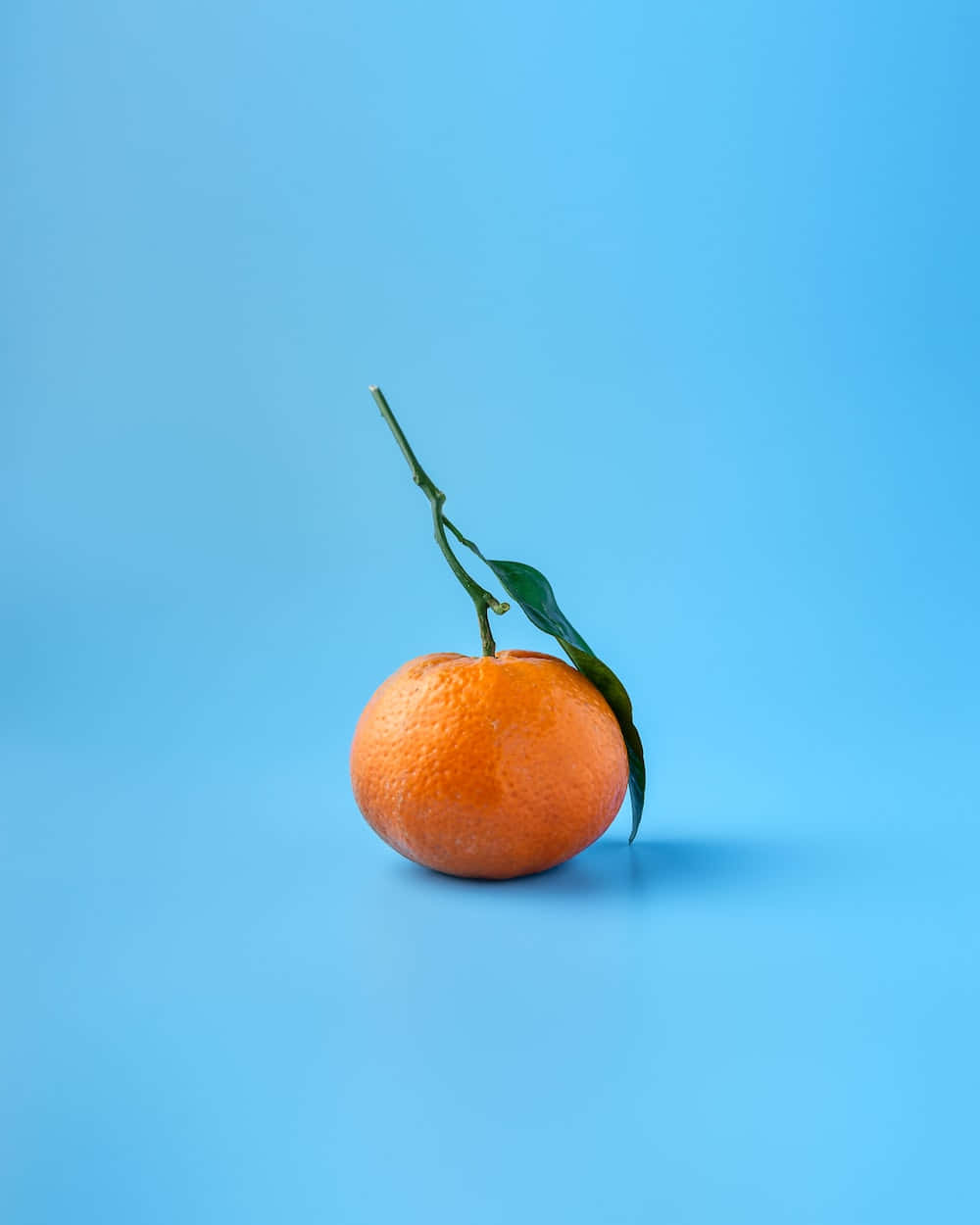 Gørverden Til Et Lysere Sted Med De Livlige Farver Af Orange!