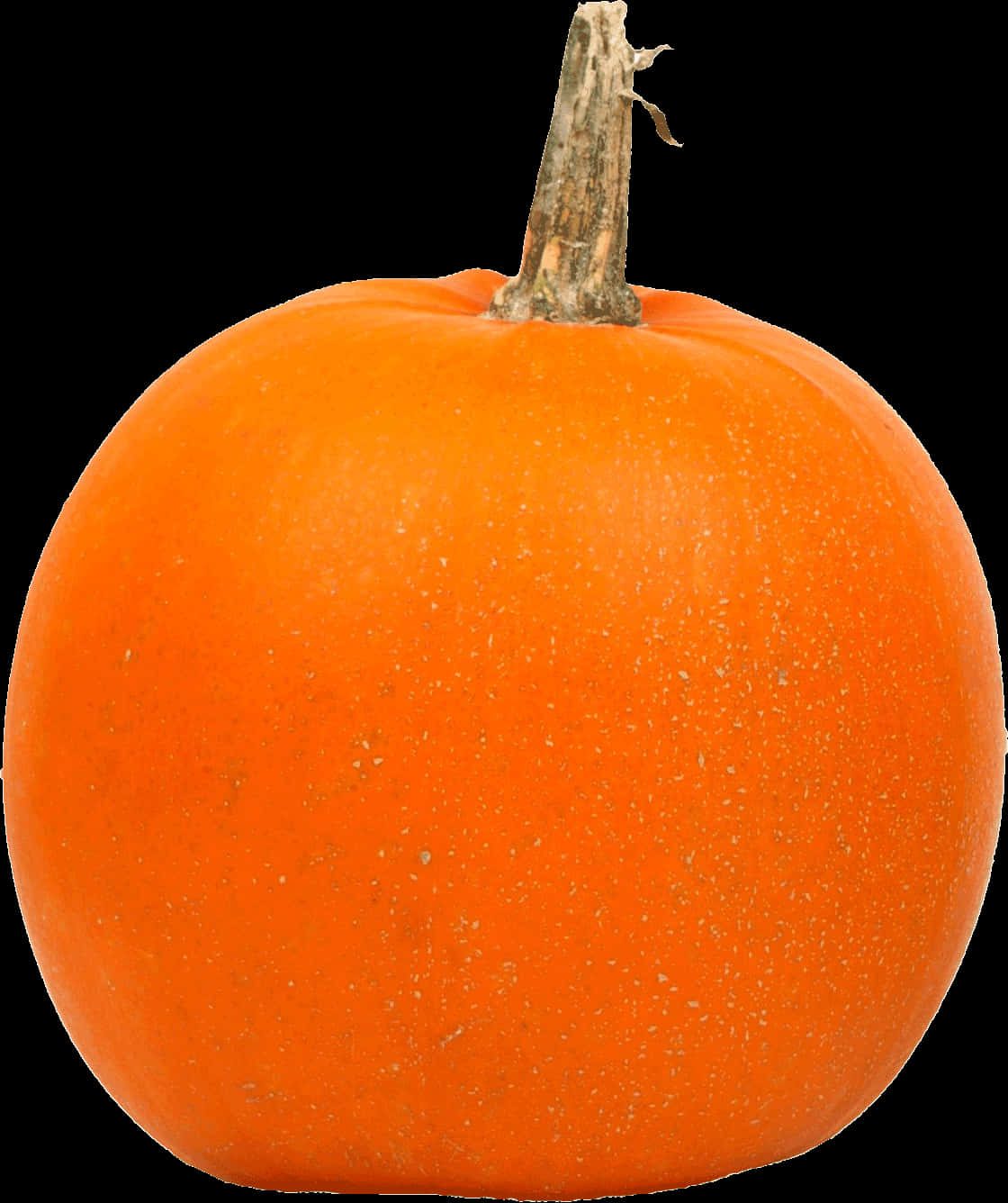 Orange Pumpkin Black Background PNG