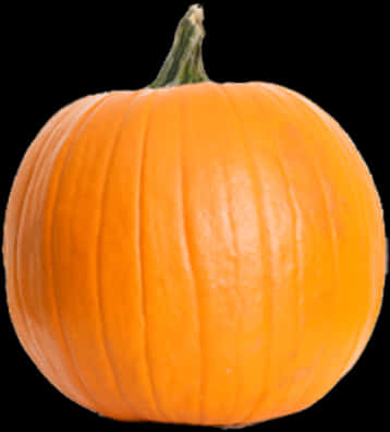 Orange Pumpkin Black Background PNG