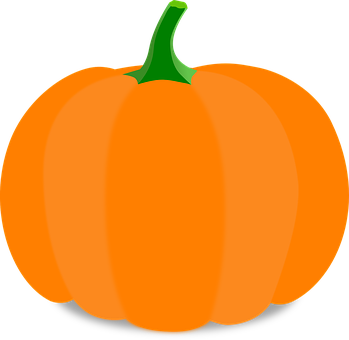 Orange Pumpkin Vector Illustration PNG
