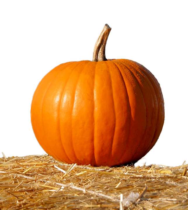 Orange Pumpkinon Hay Bale PNG