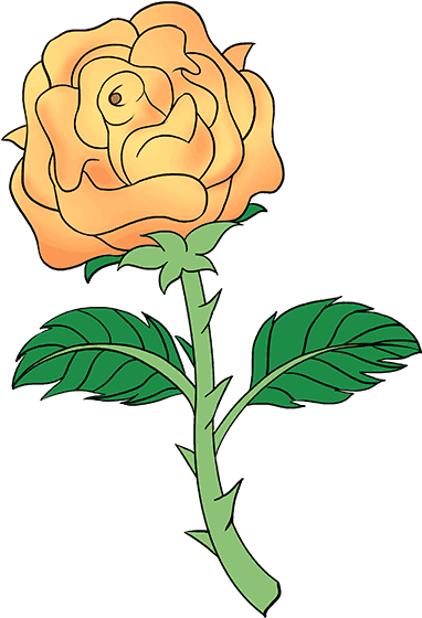 Orange Rose Illustration.png PNG
