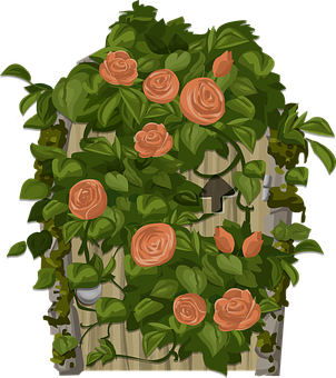 Orange Roseson Garden Fence Illustration PNG