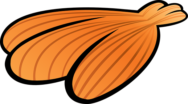 Orange Seashell Vector Art PNG