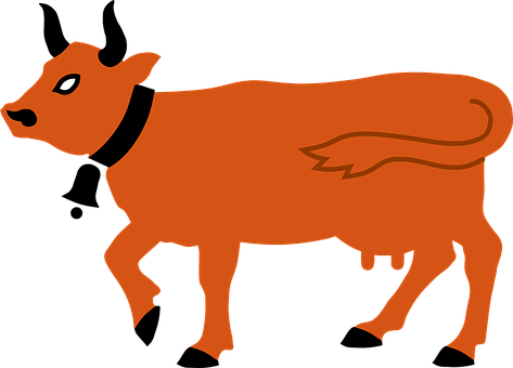Orange Silhouette Cow Illustration PNG