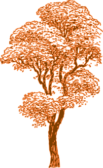 Orange Silhouette Tree Art PNG