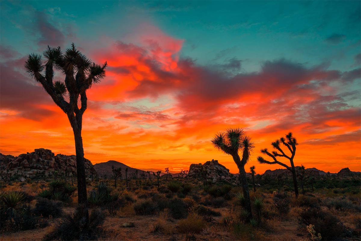 Orangerhimmel In Der Wüste Von Arizona Wallpaper