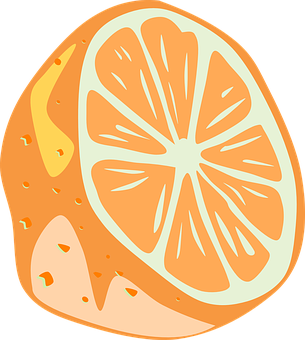 Orange Slice Illustration PNG
