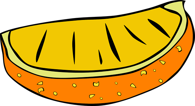 Orange Slice Illustration PNG