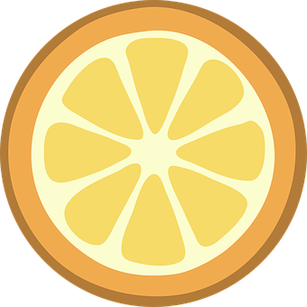 Orange Slice Vector Illustration PNG