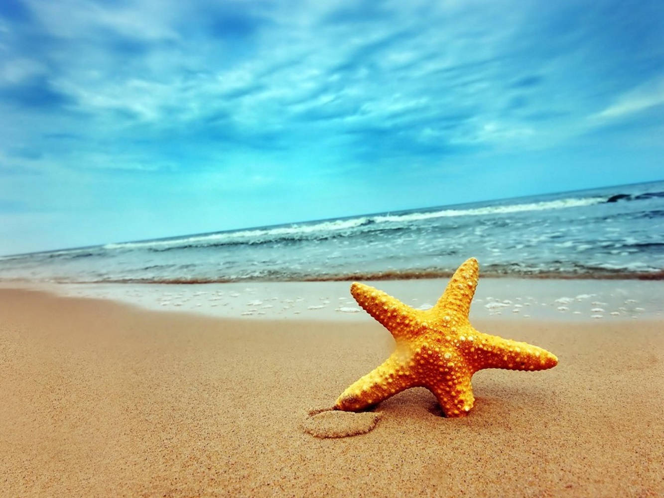 Vistade Playa Con Estrella De Mar Naranja Fondo de pantalla