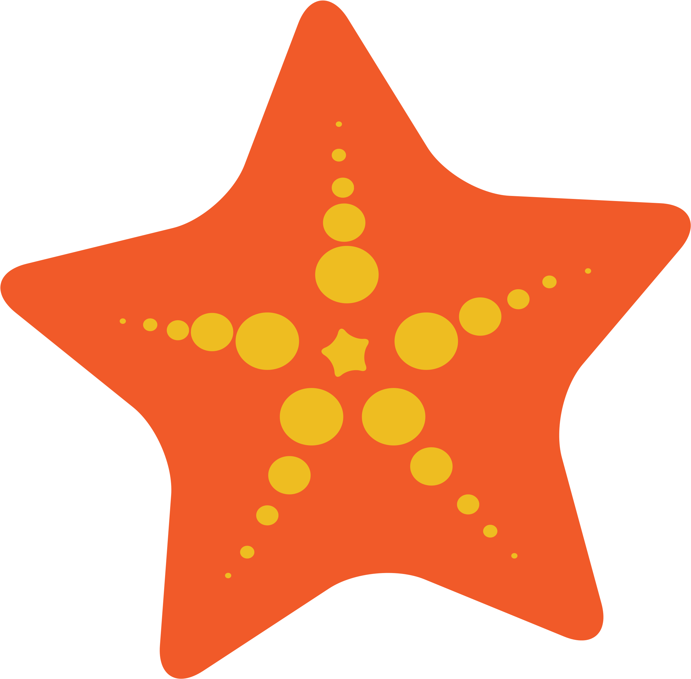 Orange Starfish Clipart PNG