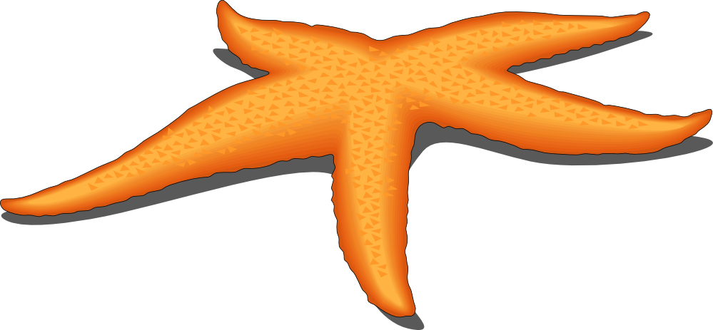 Orange Starfish Clipart PNG