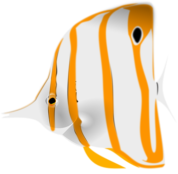 Orange Striped Angelfish Illustration PNG