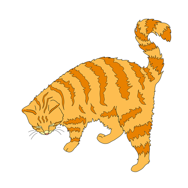 Orange Striped Cat Illustration PNG