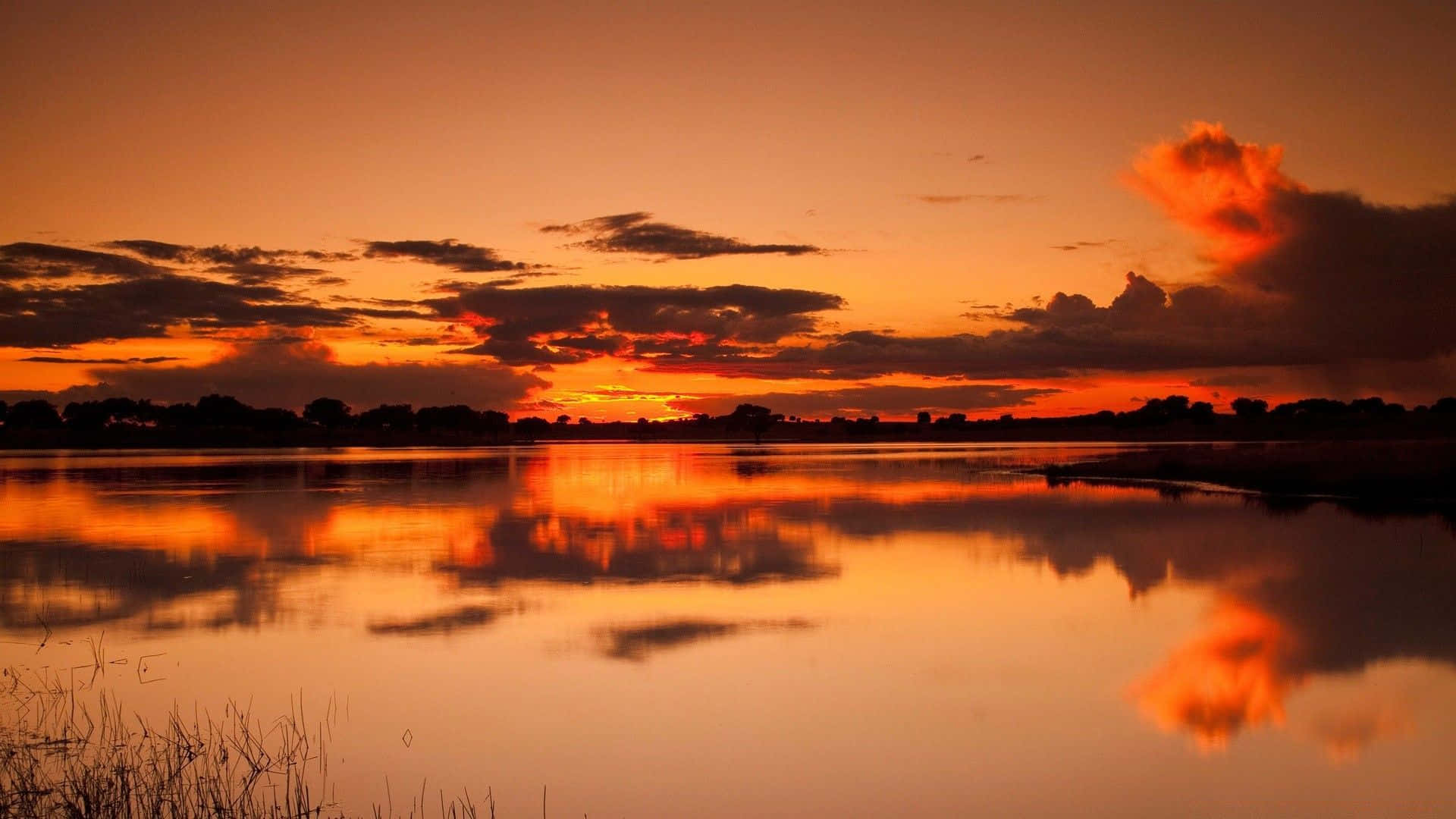 Stunning Orange Sunset over the Horizon Wallpaper