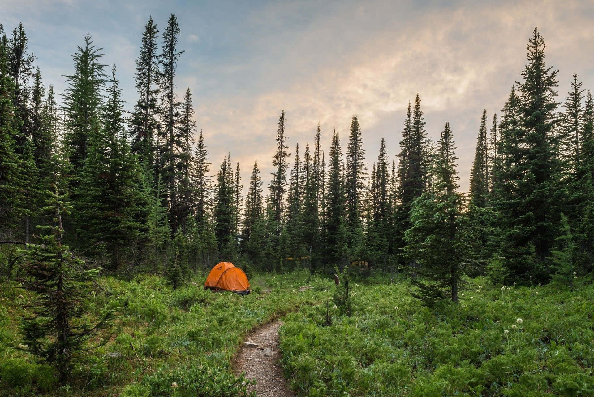 Orange Tent Camping Desktop Wallpaper