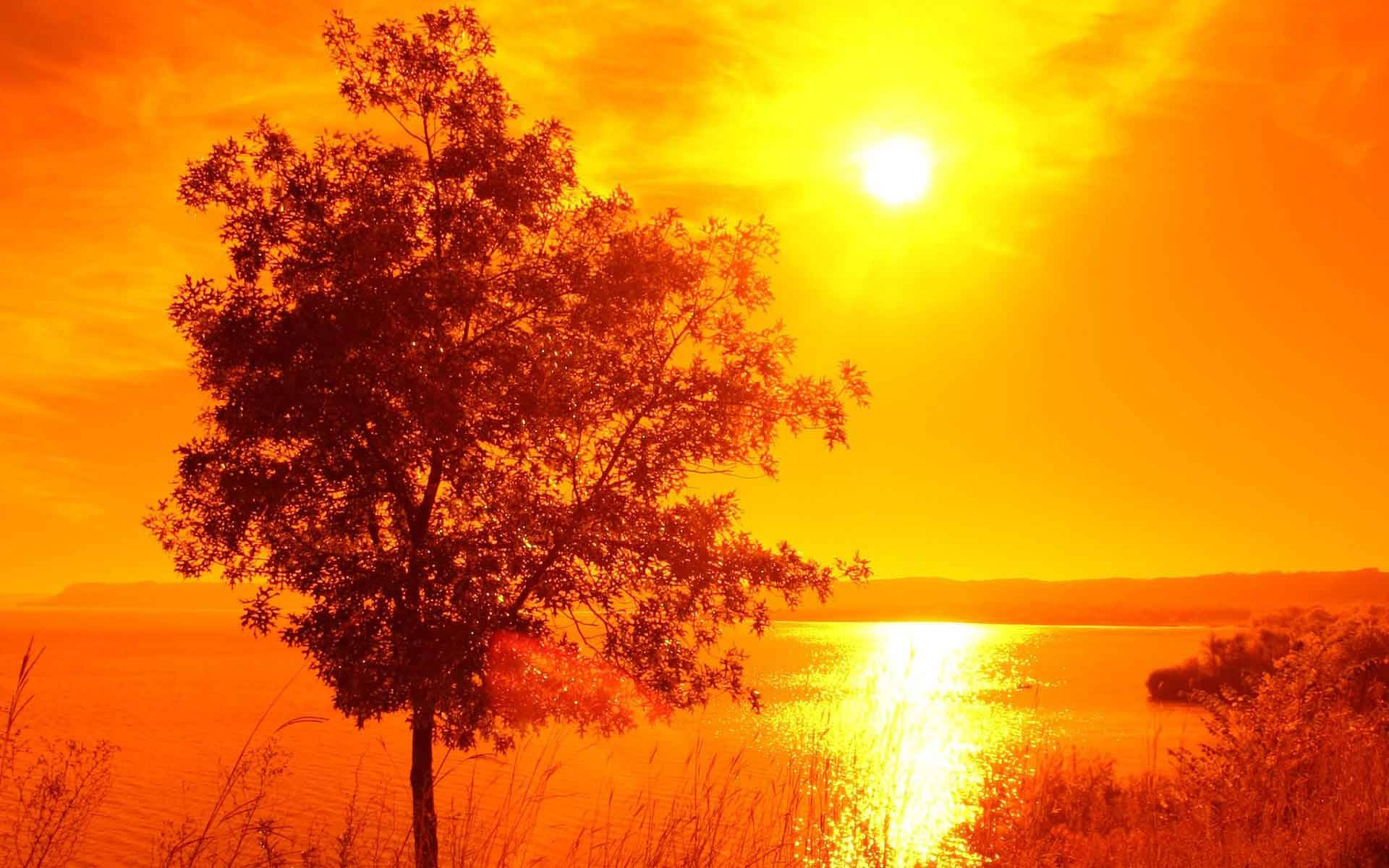 Natura Dell'alba Color Arancio Sfondo