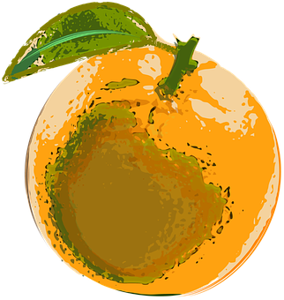 Orange Vector Art Illustration PNG