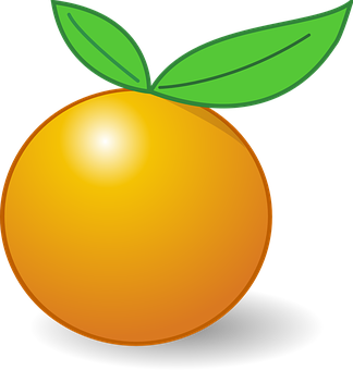 Orange Vector Illustration PNG