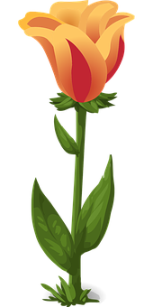 Orange Yellow Tulip Vector Illustration PNG
