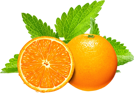 Orangeand Mint Freshness PNG