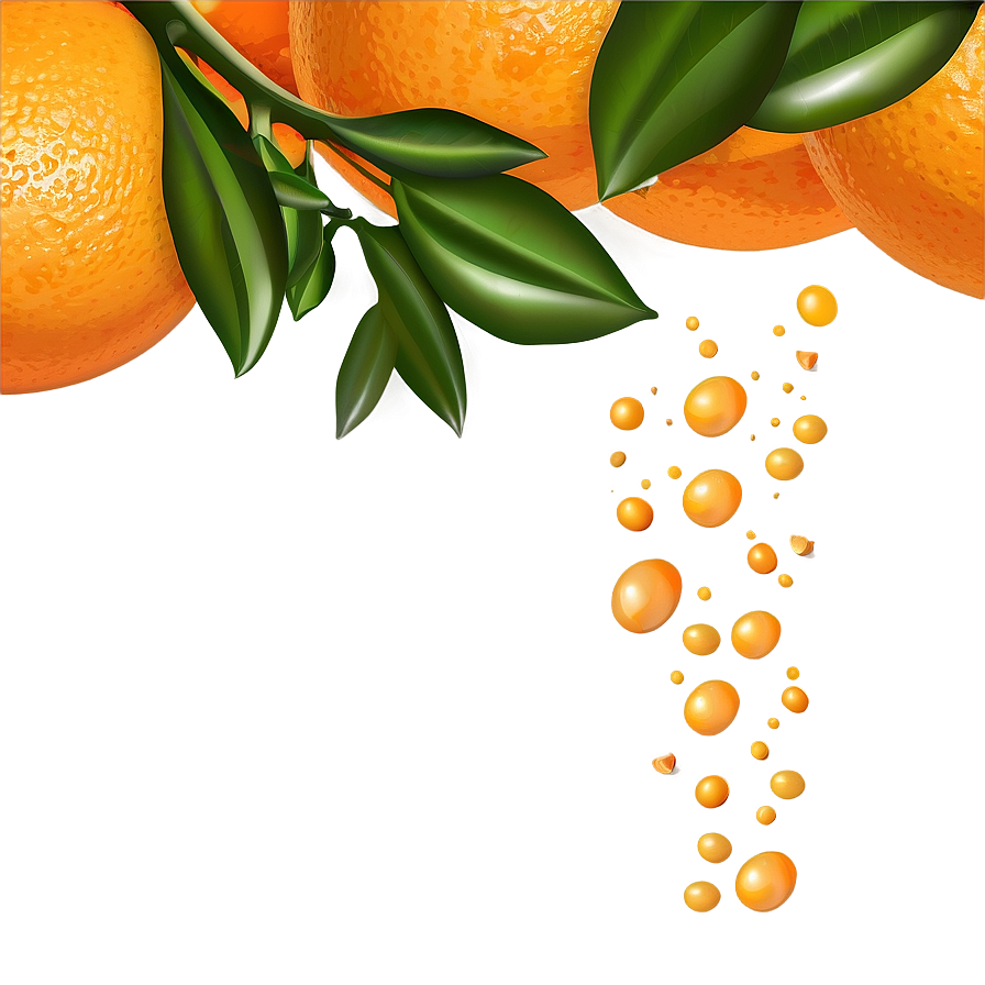 Oranges Vector Png 16 PNG
