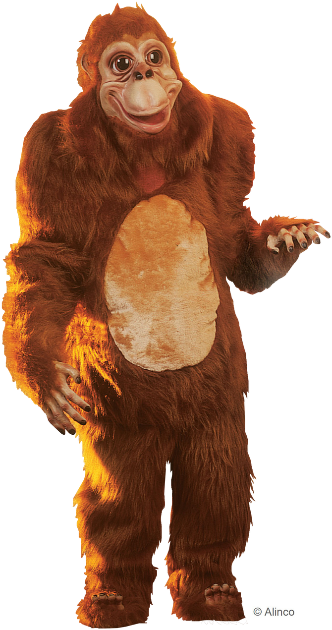 Orangutan Costume Standing Pose PNG