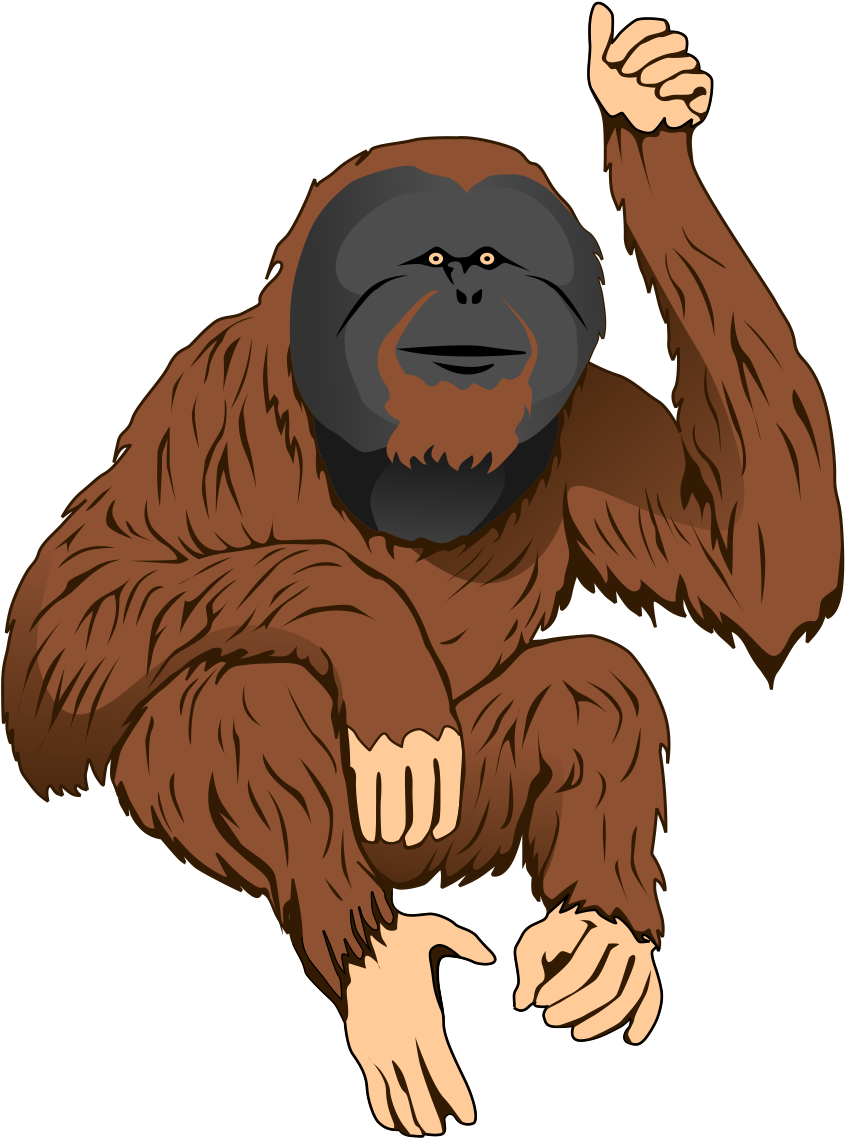 Download Orangutan Illustration | Wallpapers.com