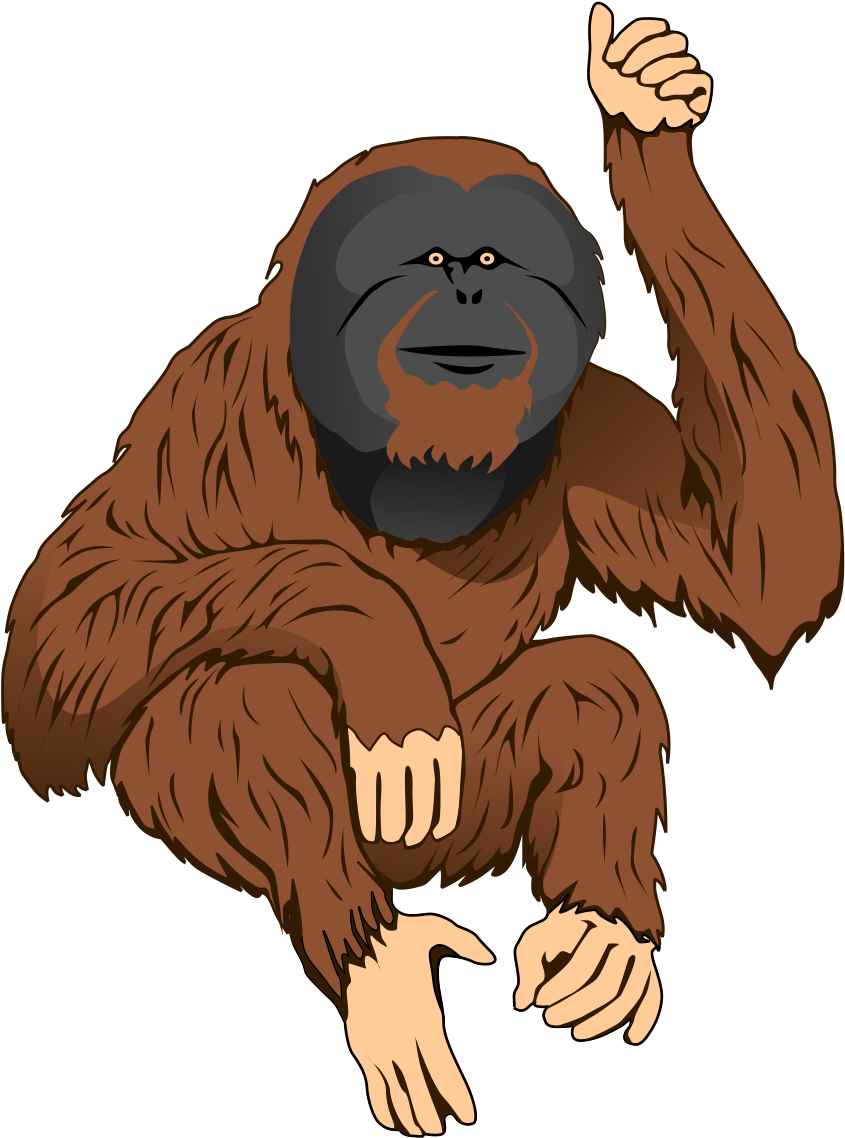 Orangutan Illustration PNG