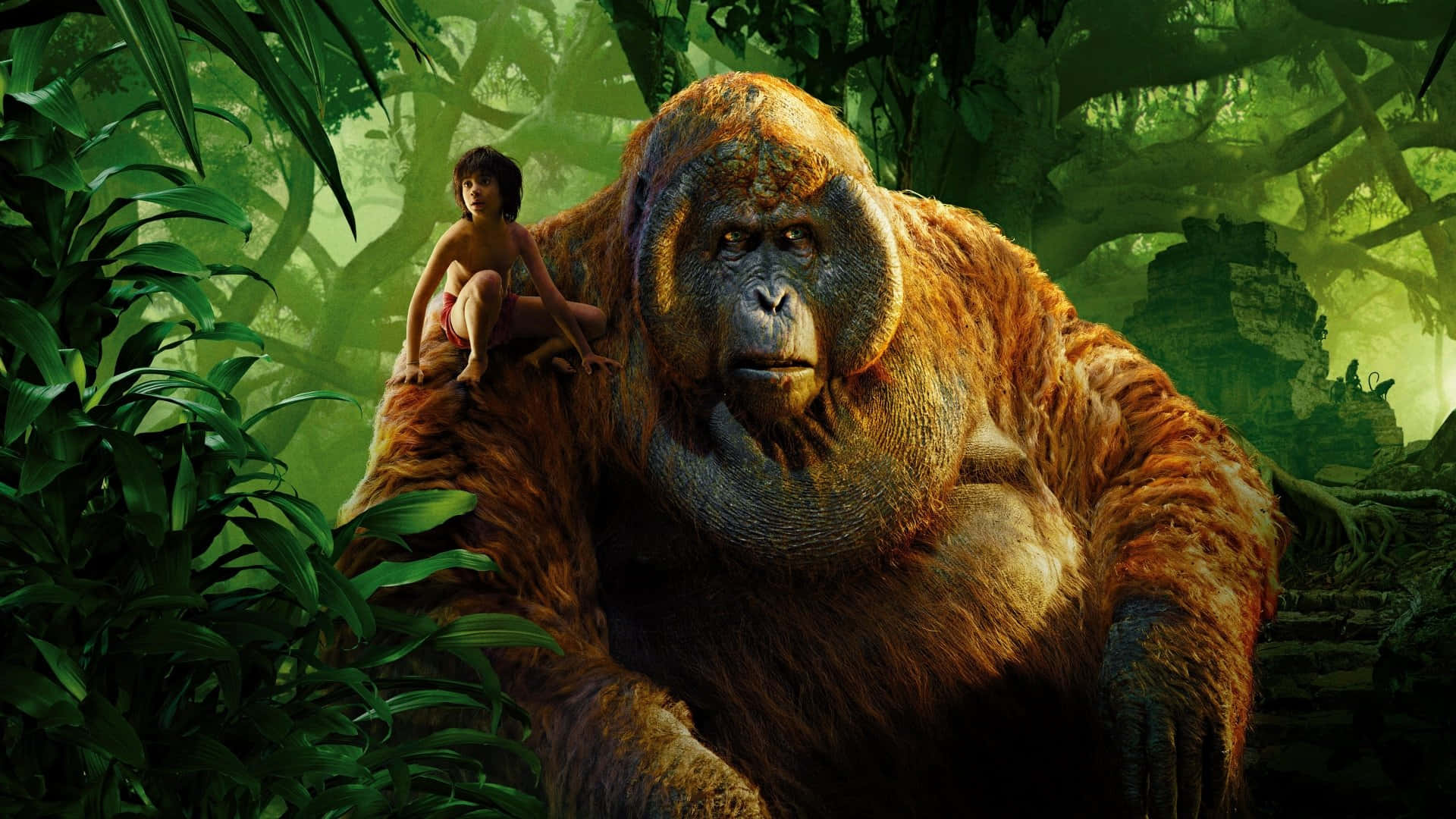 Orangutan König Louie Dschungelbuch Wallpaper