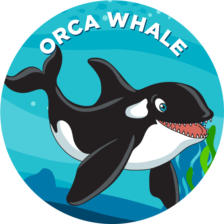 Orca Cartoon Illustration PNG
