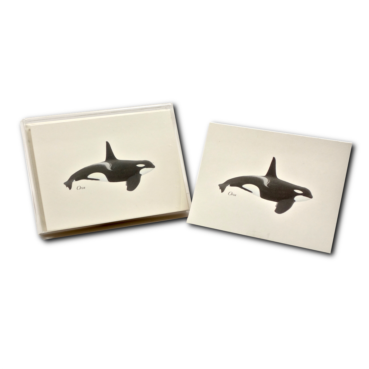 Orca Coasters Set PNG