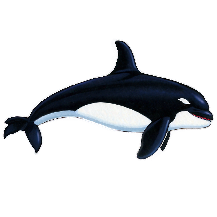 Download Orca Duo Png Nmr76 