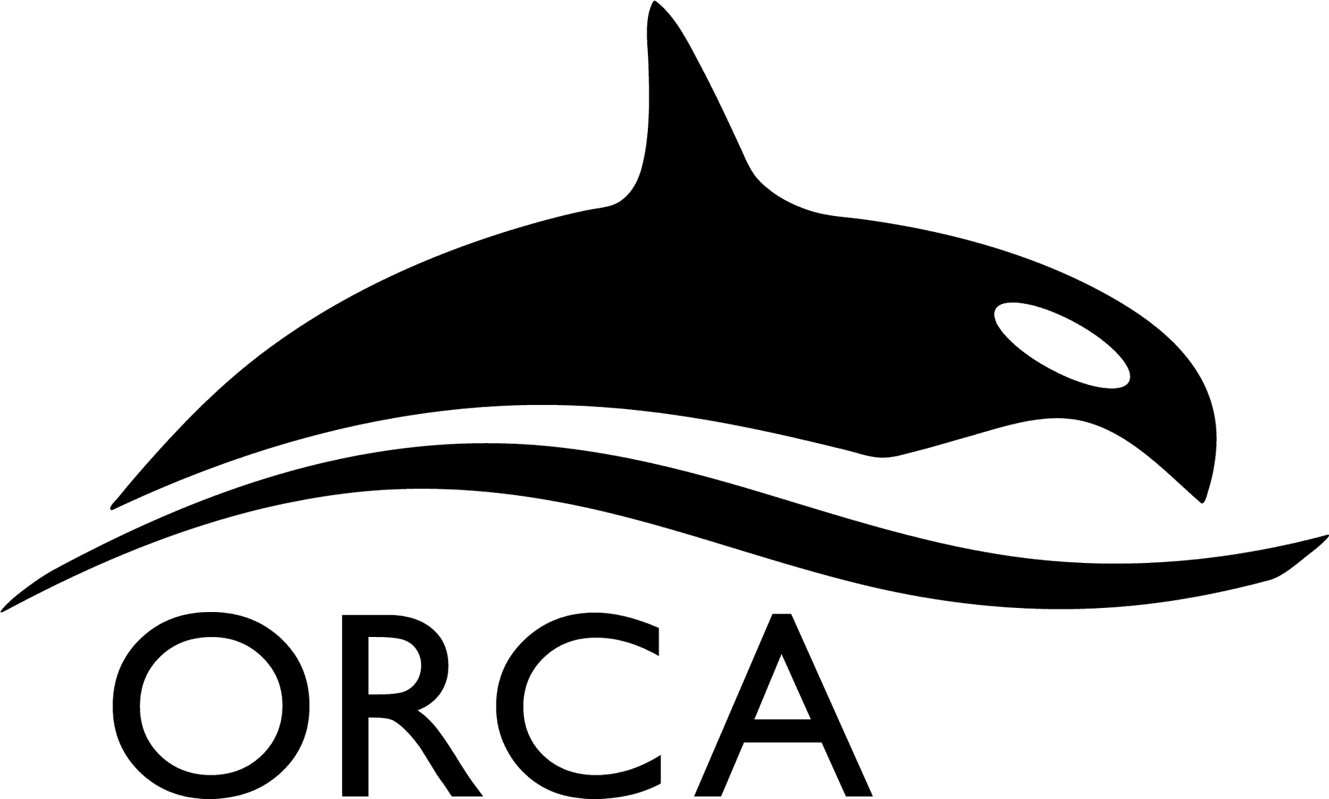 Orca Logo Silhouette PNG