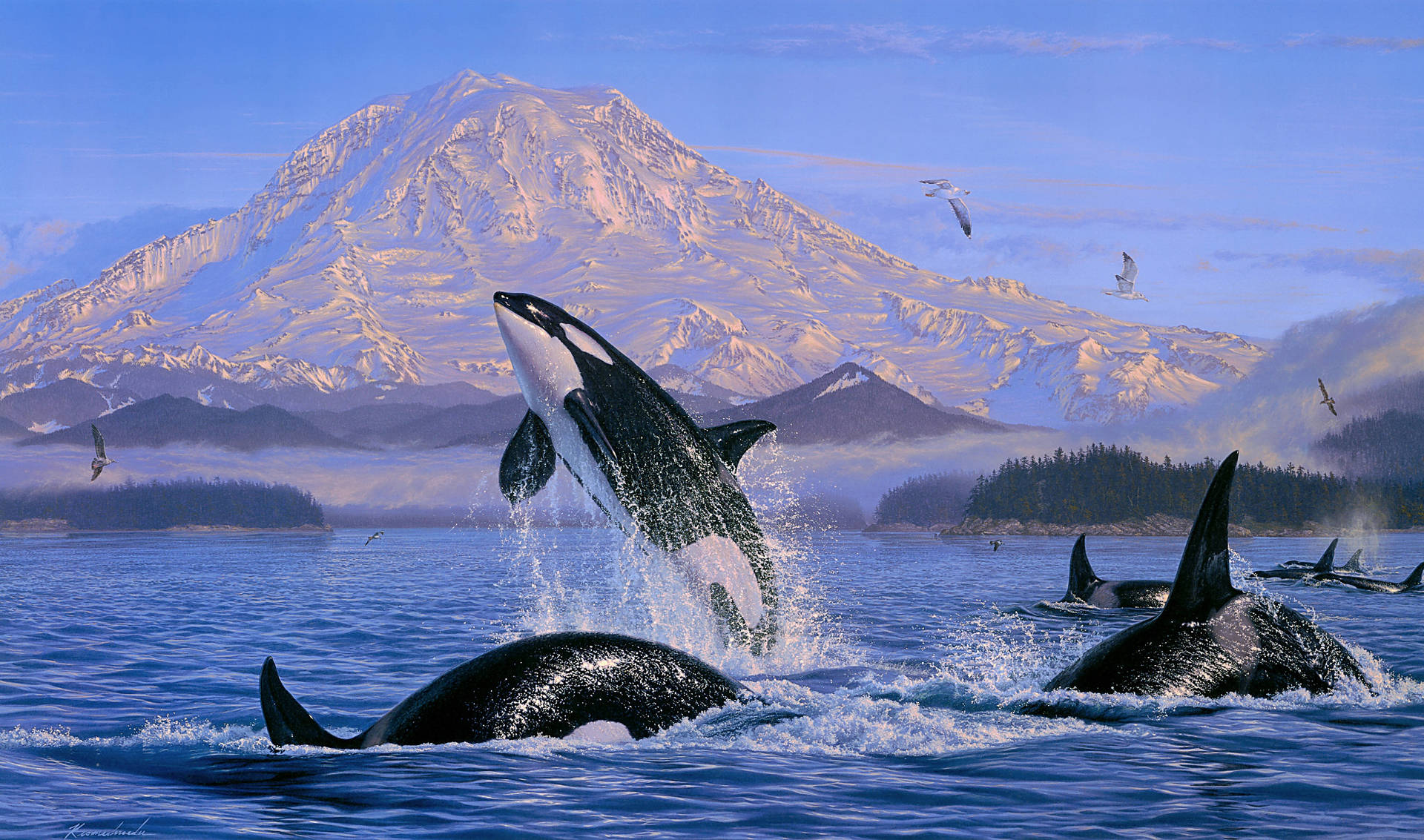 Orca Mountain Wallpaper