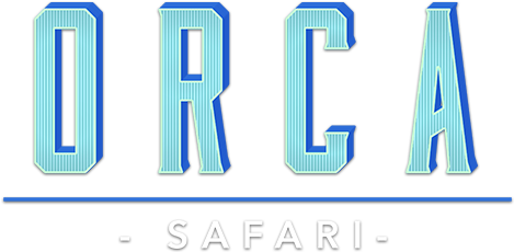 Orca Safari Logo PNG