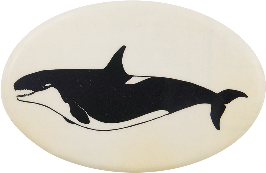Orca Silhouette Artwork PNG