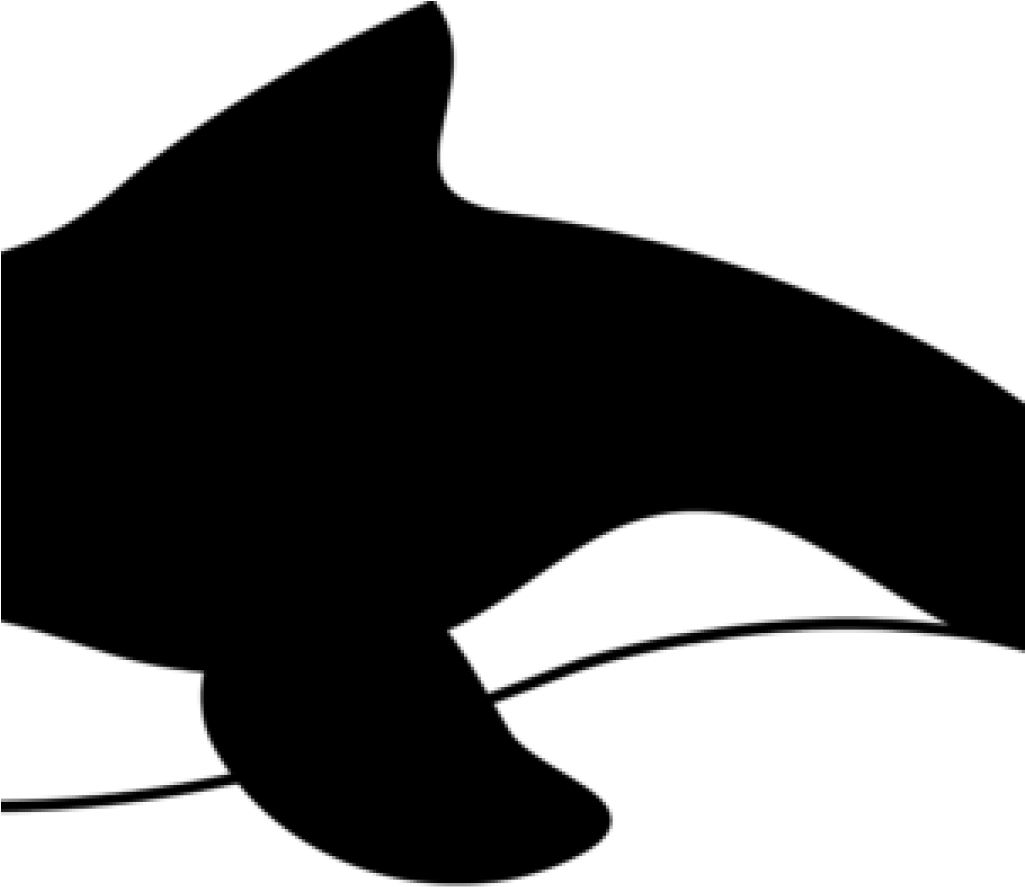 Orca Silhouette Graphic PNG