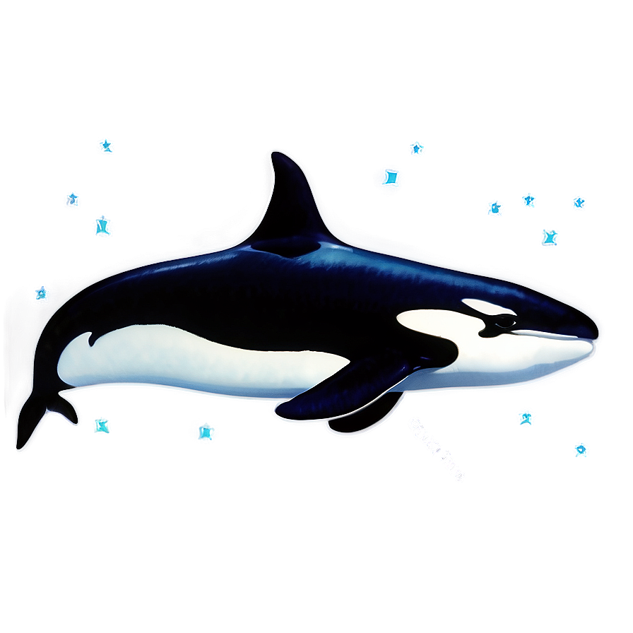 Download Orca Silhouette Png Tqy | Wallpapers.com