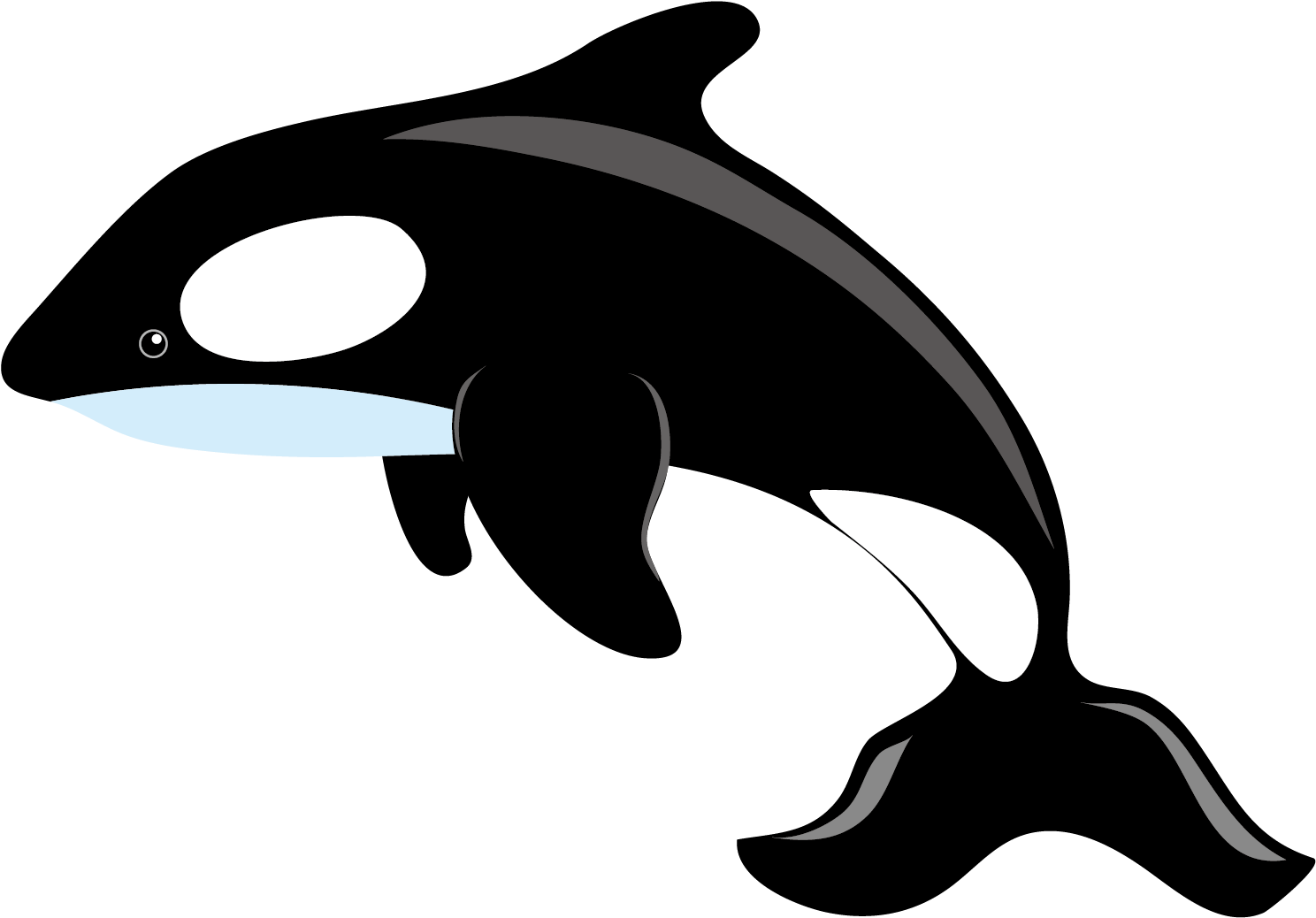 Orca Whale Cartoon Clipart PNG