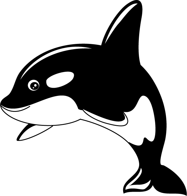 Orca Whale Cartoon Clipart PNG